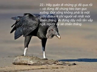 22.- Hãy quên đi những gì đã qua rồi
– và đừng để chúng kéo bạn gục
xuống. Đời sống không phải là một
cuộc đua mà chỉ người về nhất mới
chiến thắng. Ai đứng dậy mỗi lần vấp
ngã, người ấy sẽ chiến thắng.
 
