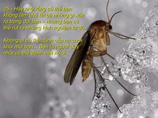 25.- Hãy nhớ rằng có thể bạn25.- Hãy nhớ rằng có thể bạn
không làm chủ tất cả những gì xảykhông làm chủ tất cả những gì xảy
ra trong đời bạn – nhưng bạn córa trong đời bạn – nhưng bạn có
thể rút ra những kinh nghiệm từ đó.thể rút ra những kinh nghiệm từ đó.
Không ai có thể đánh cắp nụ cườiKhông ai có thể đánh cắp nụ cười
khỏi môi bạn... Bạn là người duykhỏi môi bạn... Bạn là người duy
nhất có thể đánh mất nó đinhất có thể đánh mất nó đi..
 