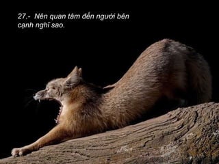 27.- Nên quan tâm đến người bên
cạnh nghĩ sao.
 