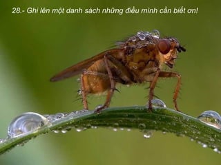 28.- Ghi lên một danh sách những điều mình cần biết ơn!
 