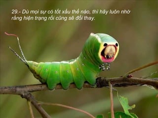 29.- Dù mọi sự có tốt xấu thế nào, thì hãy luôn nhớ
rằng hiện trạng rồi cũng sẽ đổi thay.
 