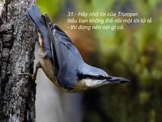 31.- Hãy nhớ lời của Trumper:
Nếu bạn không thể nói một lời tử tế
- thì đừng nên nói gì cả.
 