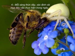 4.- Mỗi sáng thức dậy, xác định vài
mục tiêu cần thực hiện trong ngày.
 