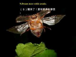 9.Dream more while awake.
（ 9 ）醒來了！要有更多的夢想
。
 