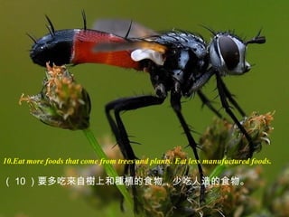 10.Eat more foods that come from trees and plants. Eat less manufactured foods.
（ 10 ）要多吃來自樹上和種植的食物，少吃人造的食物。
 