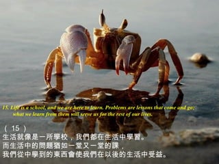 15. Life is a school, and we are here to learn. Problems are lessons that come and go;
what we learn from them will serve us for the rest of our lives.
（ 15 ）
生活就像是一所學校，我們都在生活中學習。
而生活中的問題猶如一堂又一堂的課，
我們從中學到的東西會使我們在以後的生活中受益。
 