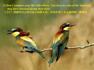 23.Don’t compare your life with others. You have no idea of the highways
they have traveled during their lives.
（ 23 ）別總拿自己的生活去和別人比。何況 對人家走過的路一無所知。你
 