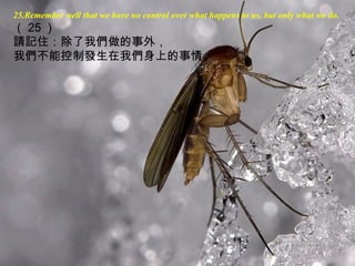 25.Remember well that we have no control over what happens to us, but only what we do.
（ 25 ）
請記住：除了我們做的事外，
我們不能控制發生在我們身上的事情。
 