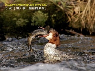 26.Learn something new every day.
（ 26 ）每天學一點新的東西。
 