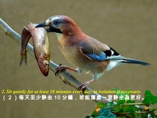 2. Sit quietly for at least 10 minutes every day, in isolation if necessary.
（ 2 ）每天至少静坐 10 分鐘，若能獨處一室静坐為更好。
 