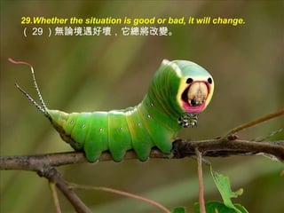 29.Whether the situation is good or bad, it will change.
（ 29 ）無論境遇好壞，它總將改變。
 
