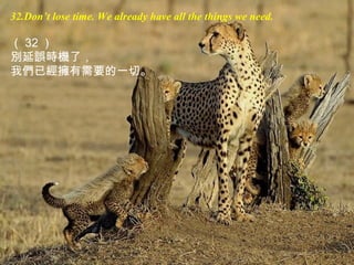 32.Don’t lose time. We already have all the things we need.
（ 32 ）
別延誤時機了，
我們已經擁有需要的一切。
 
