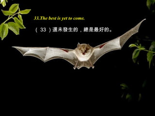 33.The best is yet to come.
（ 33 ）還未發生的，總是最好的。
 