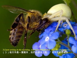 3.Upon arising in the morning, one must immediately say “My goal today is..”
（ 3 ）每天早晨一覺醒来，我們必須馬上說：「我今天的目標是……」
 
