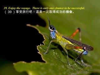 39. Enjoy the voyage. There is only one chance to be successful.
（ 39 ）享受旅行吧！這是一次取得成功的機會。
 