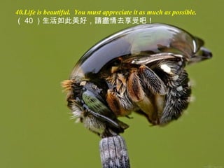 40.Life is beautiful. You must appreciate it as much as possible.
（ 40 ）生活如此美好，請盡情去享受吧！
 