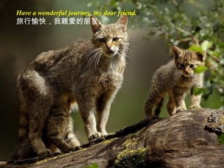 Have a wonderful journey, my dear friend.
旅行愉快，我親愛的朋友。
 