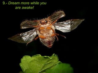 9 .- Dream more while you are awake! 