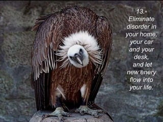 13.- Eliminate disorder in your home, your car and your desk, and let new enery flow into your life. 