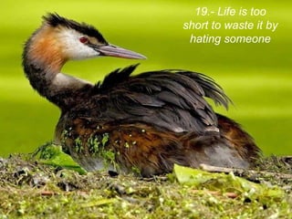 19.- Life is too short to waste it by hating someone 