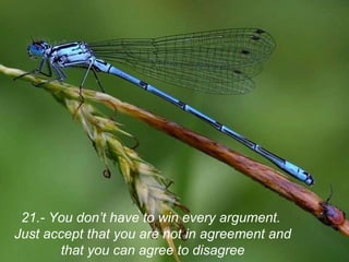 21.- You don’t have to win every argument.  Just accept that you are not in agreement and that you can agree to disagree 