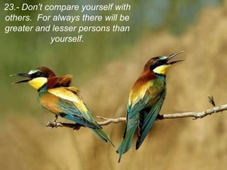 23.- Don’t compare yourself with others.  For always there will be greater and lesser persons than yourself. 
