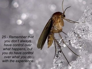 25.- Remember that you don’t always have control over what happens, but you do have control over what you do with the experience 