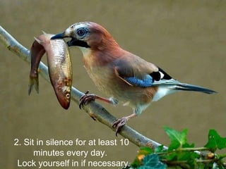 2. Sit in silence for at least 10 minutes every day.  Lock yourself in if necessary 