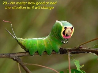 29.- No matter how good or bad the situation is, it will change 