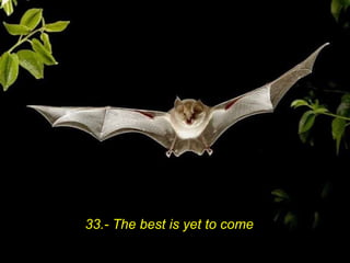 33.- The best is yet to come 