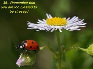 38.- Remember that you are too blessed to be stressed 