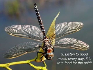 3. Listen to good music every day: it is true food for the spirit 