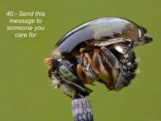 40.- Send this message to someone you care for 