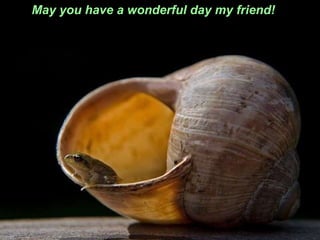 May you have a wonderful day my friend! 