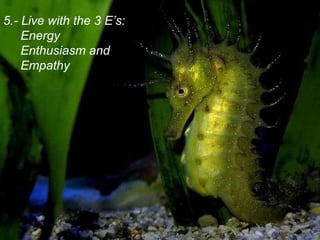 5.- Live with the 3 E’s: Energy  Enthusiasm and  Empathy 