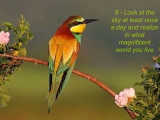 8.- Look at the sky at least once a day and realize in what magnificent world you live 