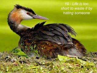 19.- Life is too
short to waste it by
 hating someone
 