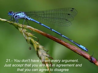 21.- You don’t have to win every argument.
Just accept that you are not in agreement and
       that you can agree to disagree
 