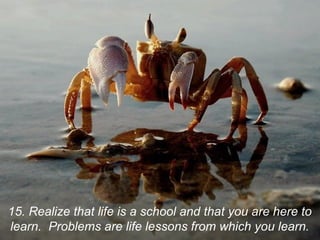 15. Realize that life is a school and that you are here to
learn. Problems are life lessons from which you learn.
 