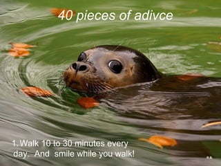 40 pieces of adivce




1. Walk 10 to 30 minutes every
day. And smile while you walk!   R.B.
 
