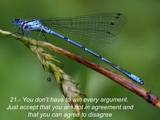 21.- You don’t have to win every argument.
Just accept that you are not in agreement and
       that you can agree to disagree
 