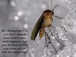 25.- Remember that
  you don’t always
 have control over
 what happens, but
you do have control
 over what you do
with the experience
 