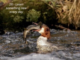 26.- Learn
something new
  every day
 
