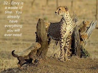 32.- Envy is
 a waste of
 time. You
   already
    have
 everything
   you will
ever need.
 