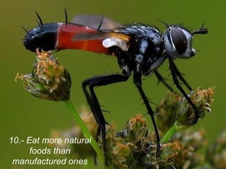 10.- Eat more natural
foods than
manufactured ones
 