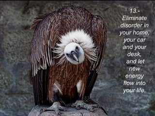 13.-
Eliminate
disorder in
your home,
your car
and your
desk,
and let
new
energy
flow into
your life.
 