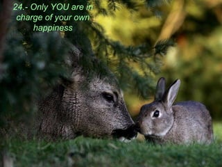 24.- Only YOU are in
charge of your own
happiness
 