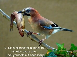 2. Sit in silence for at least 10
minutes every day.
Lock yourself in if necessary
 