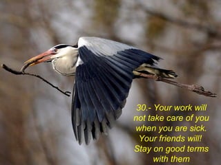 30.- Your work will
not take care of you
when you are sick.
Your friends will!
Stay on good terms
with them
 