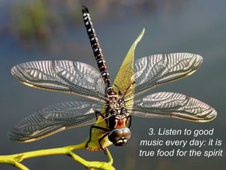 3. Listen to good
music every day: it is
true food for the spirit
 